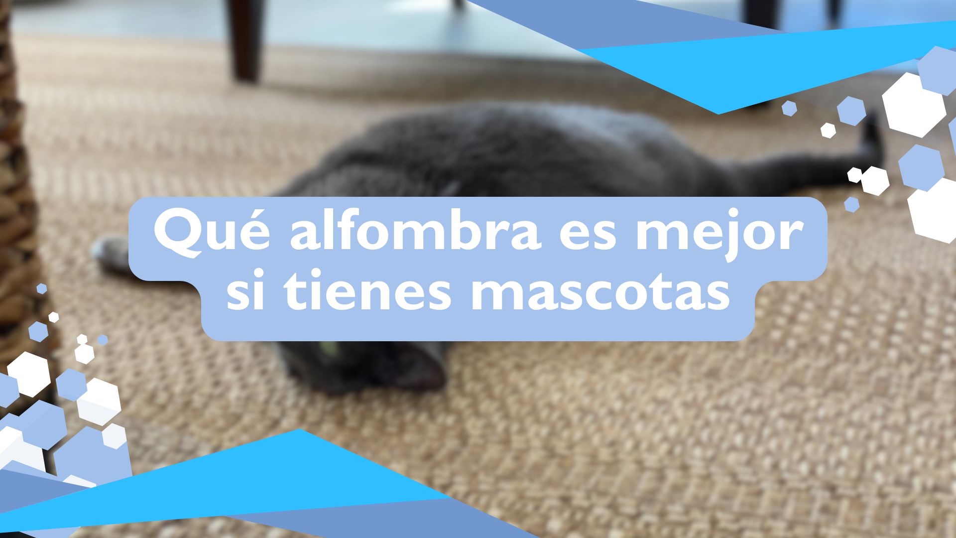 Qué alfombra es mejor